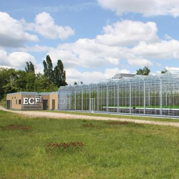 Feuerschild Brandschutz Brandschutzfachplanung Berlin