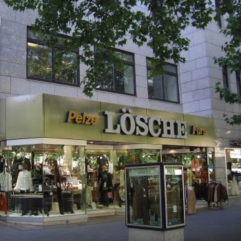 Bestandsansicht Schaufenster Bestandsansicht Schaufenster