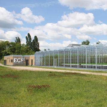 ECF Farm Berlin Brandschutzkonzept Feuerschild Brandschutz Brandschutzfachplanung Berlin